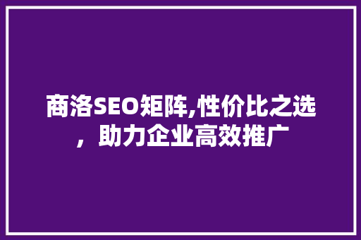 商洛SEO矩阵,性价比之选，助力企业高效推广