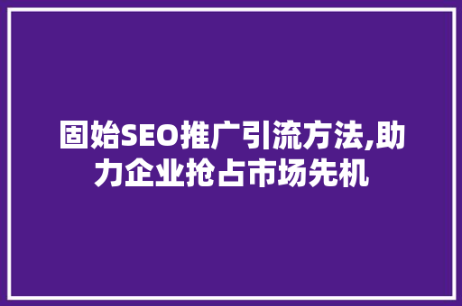 固始SEO推广引流方法,助力企业抢占市场先机