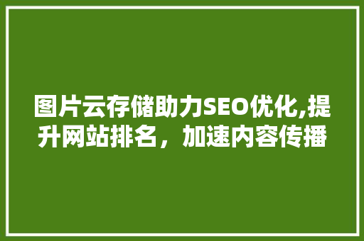图片云存储助力SEO优化,提升网站排名，加速内容传播