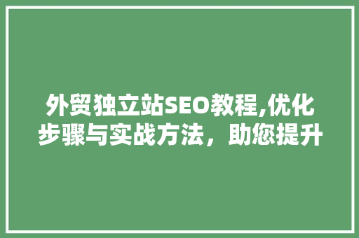 外贸独立站SEO教程,优化步骤与实战方法，助您提升网站排名