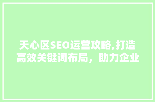天心区SEO运营攻略,打造高效关键词布局，助力企业腾飞