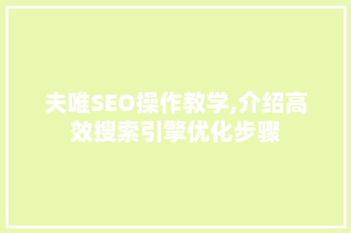 夫唯SEO操作教学,介绍高效搜索引擎优化步骤