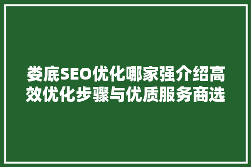 娄底SEO优化哪家强介绍高效优化步骤与优质服务商选择指南