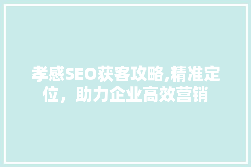 孝感SEO获客攻略,精准定位，助力企业高效营销