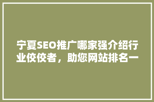 宁夏SEO推广哪家强介绍行业佼佼者，助您网站排名一路飙升！