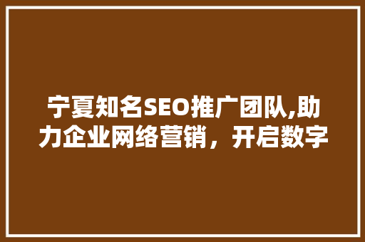 宁夏知名SEO推广团队,助力企业网络营销，开启数字时代新篇章
