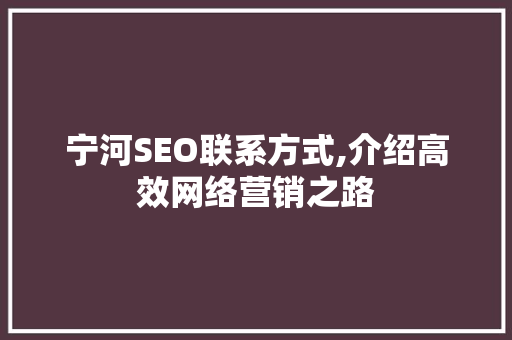 宁河SEO联系方式,介绍高效网络营销之路