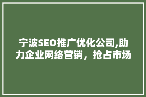 宁波SEO推广优化公司,助力企业网络营销，抢占市场先机