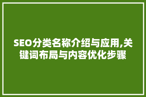 SEO分类名称介绍与应用,关键词布局与内容优化步骤