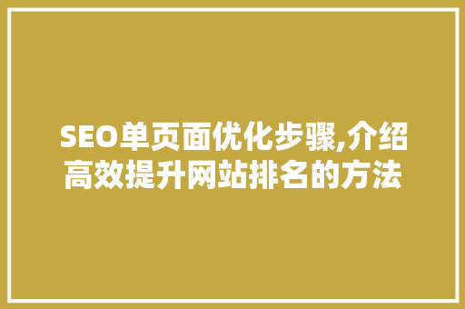 SEO单页面优化步骤,介绍高效提升网站排名的方法 WordPress教程
