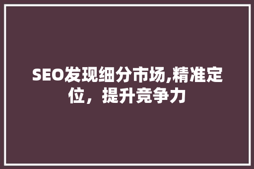 SEO发现细分市场,精准定位，提升竞争力