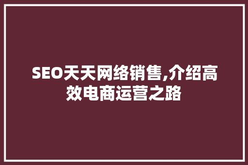 SEO天天网络销售,介绍高效电商运营之路
