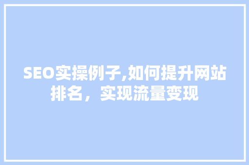 SEO实操例子,如何提升网站排名，实现流量变现