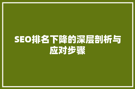 SEO排名下降的深层剖析与应对步骤