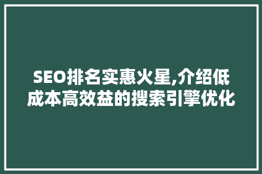 SEO排名实惠火星,介绍低成本高效益的搜索引擎优化之路