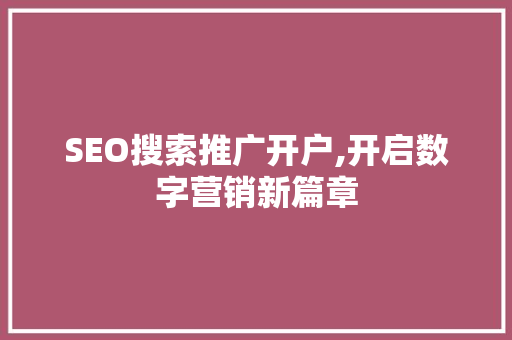 SEO搜索推广开户,开启数字营销新篇章