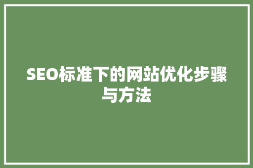 SEO标准下的网站优化步骤与方法