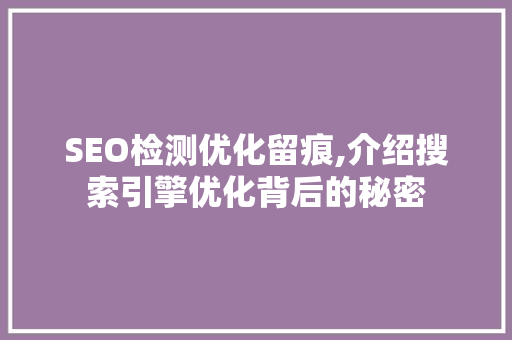 SEO检测优化留痕,介绍搜索引擎优化背后的秘密