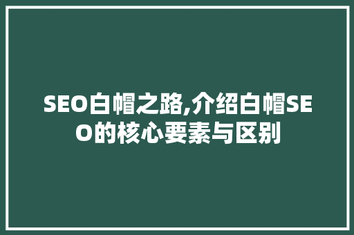 SEO白帽之路,介绍白帽SEO的核心要素与区别 Web前端