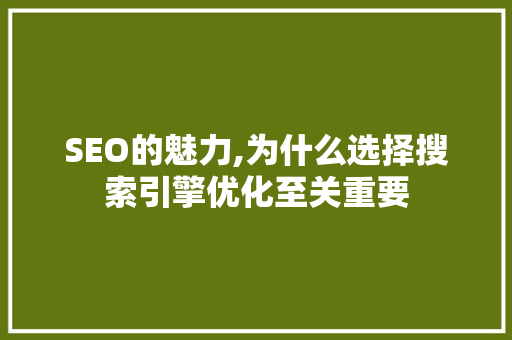 SEO的魅力,为什么选择搜索引擎优化至关重要