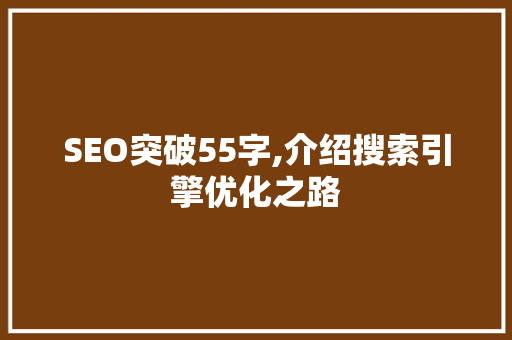 SEO突破55字,介绍搜索引擎优化之路
