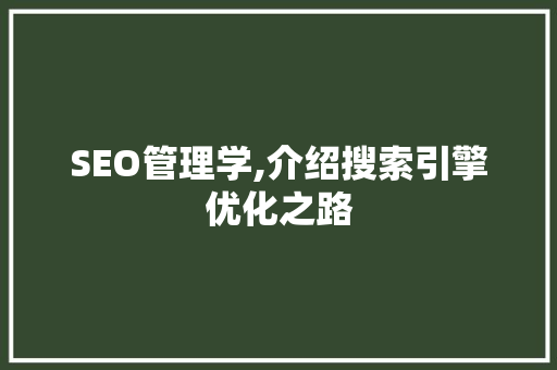 SEO管理学,介绍搜索引擎优化之路