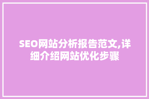 SEO网站分析报告范文,详细介绍网站优化步骤