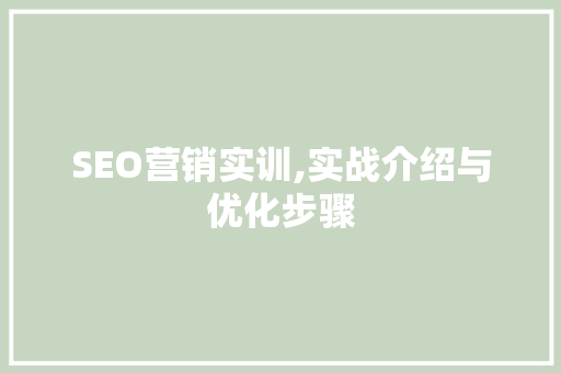 SEO营销实训,实战介绍与优化步骤