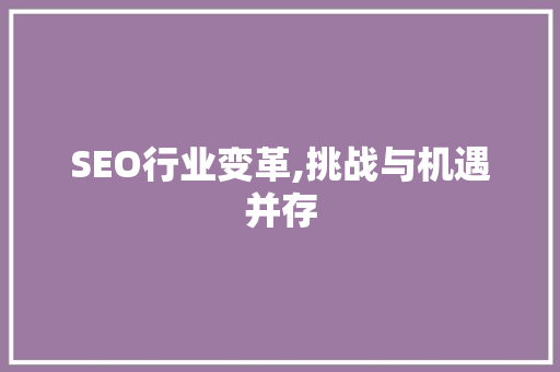 SEO行业变革,挑战与机遇并存 SEO教程