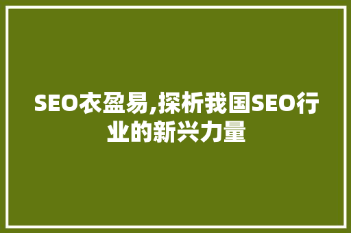 SEO衣盈易,探析我国SEO行业的新兴力量