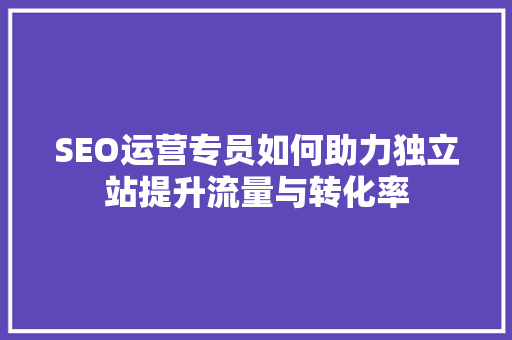 SEO运营专员如何助力独立站提升流量与转化率 SEO教程