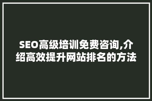 SEO高级培训免费咨询,介绍高效提升网站排名的方法