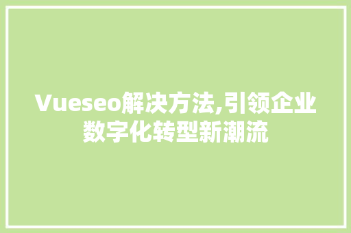 Vueseo解决方法,引领企业数字化转型新潮流