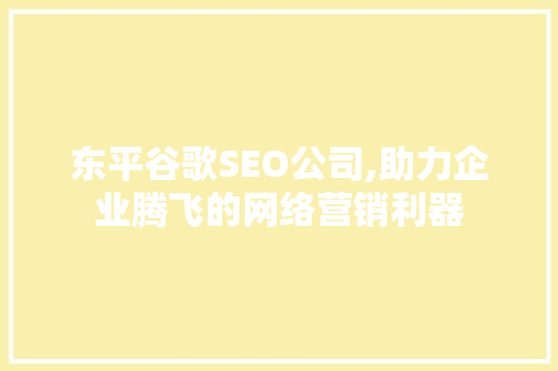 东平谷歌SEO公司,助力企业腾飞的网络营销利器