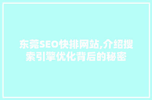 东莞SEO快排网站,介绍搜索引擎优化背后的秘密