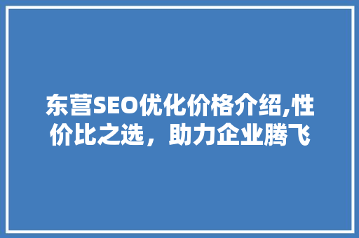 东营SEO优化价格介绍,性价比之选，助力企业腾飞