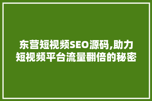东营短视频SEO源码,助力短视频平台流量翻倍的秘密武器