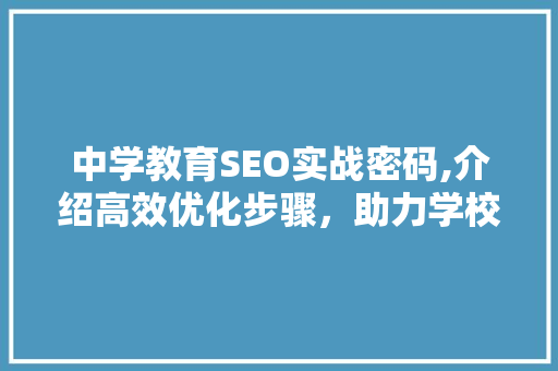 中学教育SEO实战密码,介绍高效优化步骤，助力学校网站脱颖而出