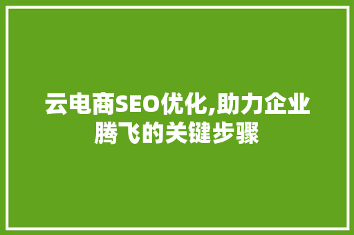 云电商SEO优化,助力企业腾飞的关键步骤