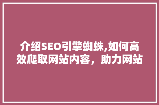介绍SEO引擎蜘蛛,如何高效爬取网站内容，助力网站优化