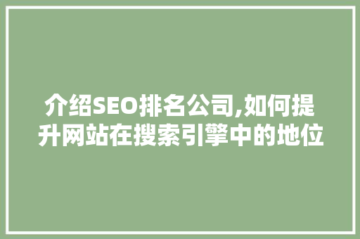 介绍SEO排名公司,如何提升网站在搜索引擎中的地位