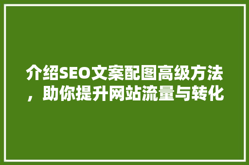 介绍SEO文案配图高级方法，助你提升网站流量与转化率 建站教程