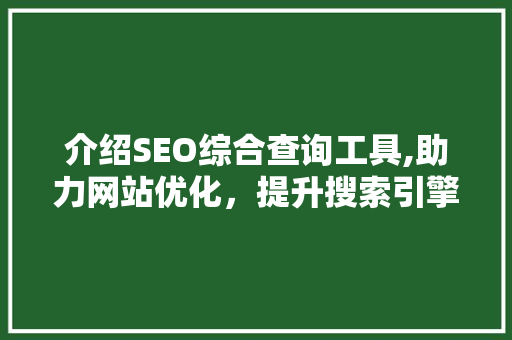 介绍SEO综合查询工具,助力网站优化，提升搜索引擎排名
