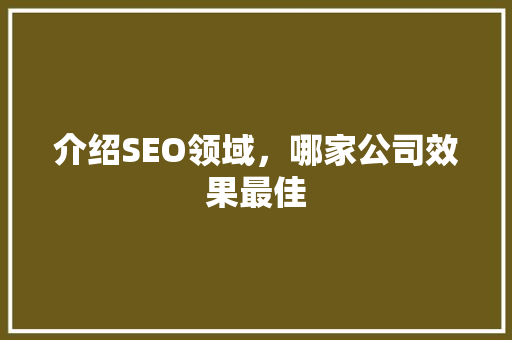 介绍SEO领域，哪家公司效果最佳