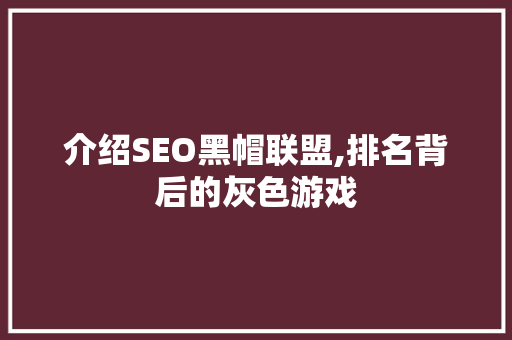 介绍SEO黑帽联盟,排名背后的灰色游戏