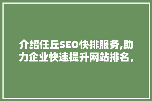 介绍任丘SEO快排服务,助力企业快速提升网站排名，抢占市场先机