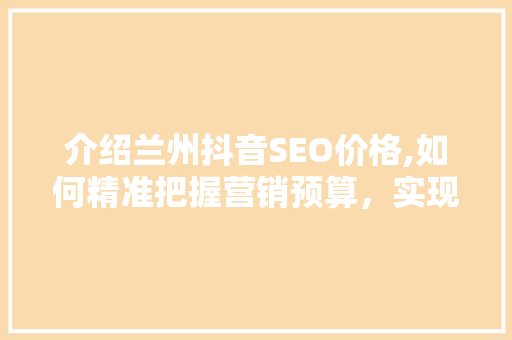 介绍兰州抖音SEO价格,如何精准把握营销预算，实现品牌价值最大化