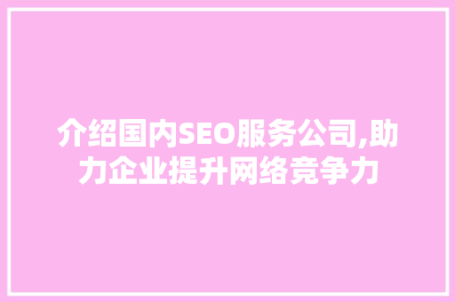 介绍国内SEO服务公司,助力企业提升网络竞争力