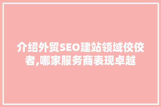 介绍外贸SEO建站领域佼佼者,哪家服务商表现卓越