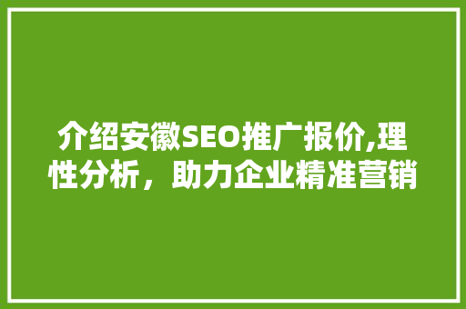 介绍安徽SEO推广报价,理性分析，助力企业精准营销